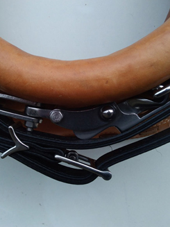 Colliers américains pour chevaux et ânes 87
