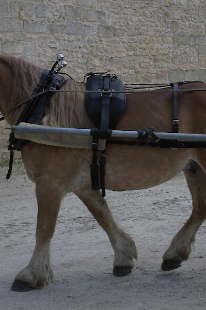Lot De Pièces De Harnais Ancien - Fer Et Chaînes - Déco Industielle Cheval